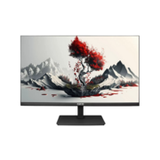Монитор Монитор RDW2401K 1920x1080(FHD) IPS 100Hz 5мс 178°/178 300cd 1000:1 VGA HDMI DP наклон, внутр.БП, Динамики, черный, VESA 100*100, реестр МПТ/ 1 год гарантия