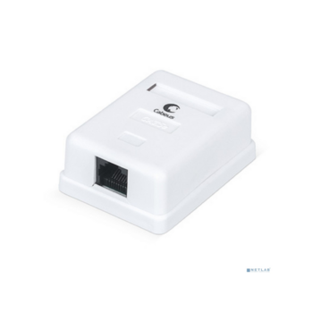 Cabeus WS-8P8C-Cat.5e-1 Розетка компьютерная RJ-45, категория 5e, одинарная, внешняя, Dual IDC
