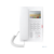 Fanvil H5 белый (H5 WHITE) SIP телефон