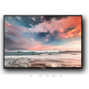 Профессиональный дисплей GoodView 55" AD display, 600cd/m2, 16/7, FHD