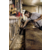Строительный пылесос Karcher WD 3 P V-17/4/20 1000Вт (уборка: сухая/сбор воды) желтый