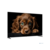 Topdevice 65" TDTV65CQ08U_BK {UHD/VA-QLED/Smart Wildred/2-8Gb/BT/Black}