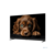 Topdevice 50" TDTV50DQ08U_BK {UHD/VA-QLED/Smart GTV/2-16Gb/BT/Soundbar/Black}