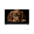 Topdevice 50" TDTV50DQ08U_BK {UHD/VA-QLED/Smart GTV/2-16Gb/BT/Soundbar/Black}