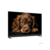 Topdevice 50" TDTV50DQ08U_BK {UHD/VA-QLED/Smart GTV/2-16Gb/BT/Soundbar/Black}