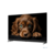 Topdevice 55"TDTV55DQ08U_BK {UHD/VA-QLED/Smart GTV/2-16Gb/BT/Soundbar/Black}