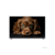 Topdevice 55"TDTV55DQ08U_BK {UHD/VA-QLED/Smart GTV/2-16Gb/BT/Soundbar/Black}