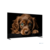 Topdevice 50" TDTV50CQ09U_BK {UHD/VA-QLED/Smart GTV/2-16Gb/BT/Black}
