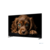 Topdevice 50" TDTV50CQ09U_BK {UHD/VA-QLED/Smart GTV/2-16Gb/BT/Black}
