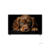 Topdevice 50" TDTV50CQ09U_BK {UHD/VA-QLED/Smart GTV/2-16Gb/BT/Black}