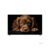 Topdevice 55" TDTV55CQ09U_BK {UHD/VA-QLED/Smart GTV/2-16Gb/BT/Black}