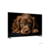 Topdevice 55" TDTV55CQ09U_BK {UHD/VA-QLED/Smart GTV/2-16Gb/BT/Black}
