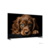 Topdevice 65" TDTV65CQ09U_BK {UHD/VA-QLED/Smart GTV/2-16Gb/BT/Black}