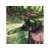 Цепная пила Greenworks GD60CS25 аккум. 2500Вт дл.шины:16" (40cm) (2008907)