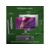 Моноблок Digma Pro Unity 23.8" Full HD i3 1215U (1.2) 8Gb SSD256Gb UHDG CR Linux Ubuntu GbitEth WiFi BT 90W клавиатура мышь Cam серый/черный 1920x1080