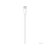 Кабель Apple MLL82ZM/A USB Type-C (m)-USB Type-C (m) 2м белый