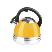 Чайник металлический Rondell Sole RDS-908 3л. желтый