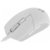 Мышь MSI Clutch GM11 белый оптическая 5000dpi USB 5but (S12-0401970-CLA)