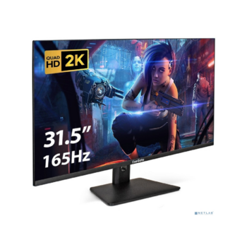 LCD ExeGate 31.5" EG3207A Combat {IPS 2560x1440 165Hz 1ms 300cd 1000:1 178/178 2xHDMI DisplayPort USB} [EX297299RUS]