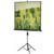Экран Lumien 127x127см Master Picture LMP-100101 1:1 настенно-потолочный рулонный