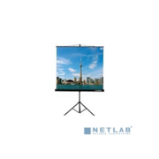 Экран на треноге Lumien 200x200см Eco View LEV-100103 1:1 напольный рулонный