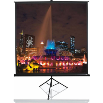 Экран на треноге Elite Screens 203x203см Tripod T113UWS1 1:1 напольный рулонный черный